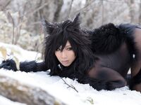 Nonsummerjack Timber wolf Photos