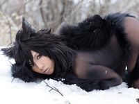 Nonsummerjack Timber wolf Photos