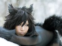 Nonsummerjack Timber wolf Photos