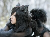 Nonsummerjack Timber wolf Photos