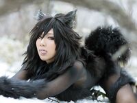 Nonsummerjack Timber wolf Photos