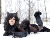 Nonsummerjack Timber wolf Photos