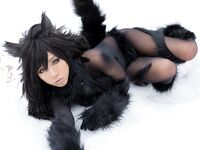 Nonsummerjack Timber wolf Photos