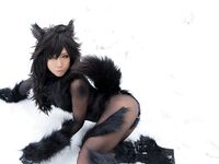 Nonsummerjack Timber wolf Photos