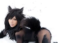 Nonsummerjack Timber wolf Photos
