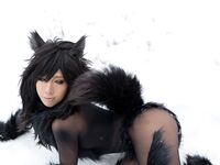 Nonsummerjack Timber wolf Photos
