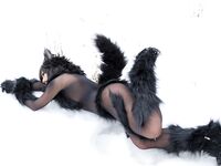 Nonsummerjack Timber wolf Photos