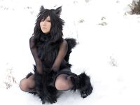 Nonsummerjack Timber wolf Photos
