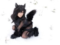 Nonsummerjack Timber wolf Photos