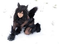 Nonsummerjack Timber wolf Photos