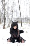 Nonsummerjack Timber wolf Photos