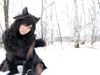 Nonsummerjack Timber wolf Photos