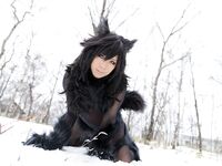 Nonsummerjack Timber wolf Photos