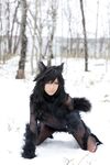 Nonsummerjack Timber wolf Photos