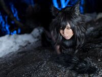 Nonsummerjack Timber wolf Photos
