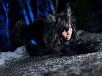 Nonsummerjack Timber wolf Photos