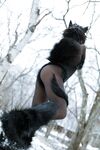 Nonsummerjack Timber wolf Photos