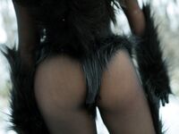 Nonsummerjack Timber wolf Photos
