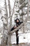 Nonsummerjack Timber wolf Photos