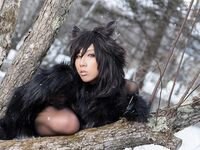 Nonsummerjack Timber wolf Photos