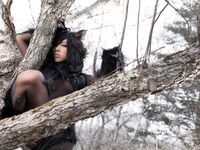 Nonsummerjack Timber wolf Photos