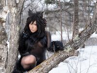 Nonsummerjack Timber wolf Photos