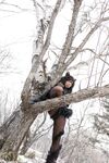 Nonsummerjack Timber wolf Photos