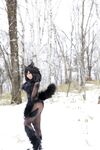 Nonsummerjack Timber wolf Photos