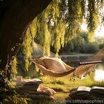 sapiophiles Photos