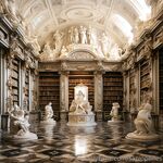sapiophiles Photos