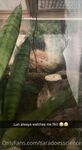 saradoesscience Photos
