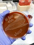saradoesscience Photos