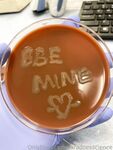 saradoesscience Photos