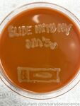 saradoesscience Photos