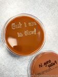 saradoesscience Photos