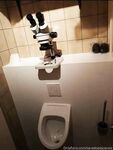 saradoesscience Photos