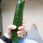 lolalittle Photos
