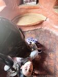 scarlettandcha Photos
