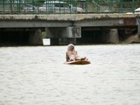 sydneyhail Photos