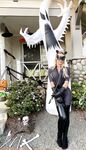 sydneyhail Photos