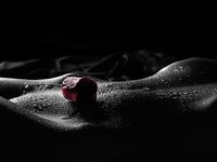 Bodyscape Nu"
