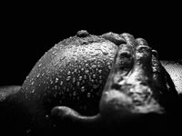 Bodyscape Nu"
