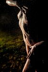 Bodyscape Nu"