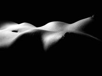 Bodyscape Nu"