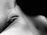 Bodyscape Nu"