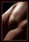 Bodyscape Nu"