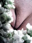 Bodyscape Nu"