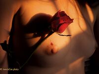 Bodyscape Nu"