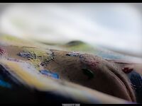 Bodyscape Nu"