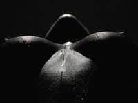 Bodyscape Nu"